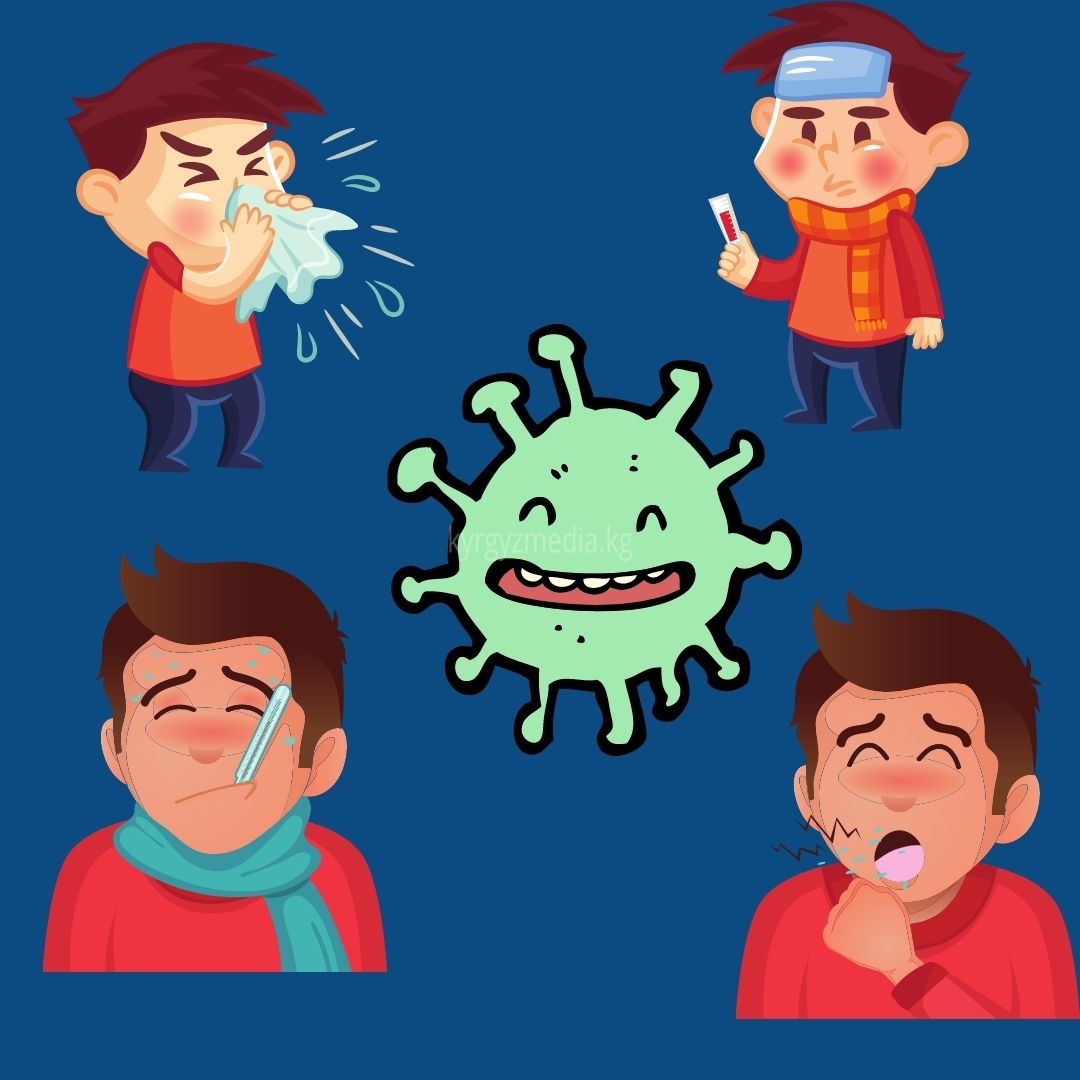 Мэрия: Балаңыздан сасык тумоонун белгилери байкалса мектепке жөнөтпөңүз