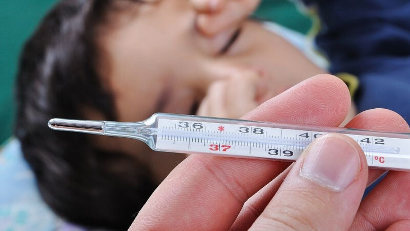 Өлкөдө сасык тумоо менен ооругандардын саны 11,7 пайызга азайды