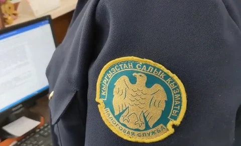 Жыл жыйынтыгы: Салык кызматы 2025-жылы канча акча чогултту?