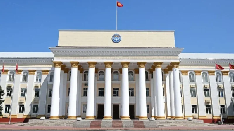 ТИМ Россияда согушка тартылган кыргызстандыктын ишин көзөмөлгө алды