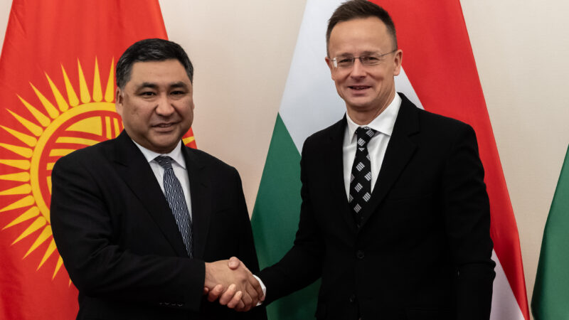 МинКаб Кыргызстан менен Венгриянын 1 жылдык өнөктөштүгүнүн жыйынтыгын чыгарды