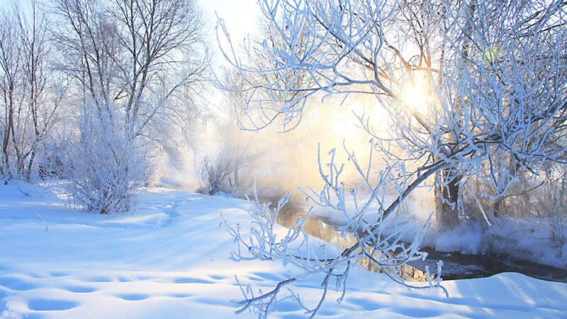 Ар таңда арууланып ойлоруңуз, Ар күнү ачык болсун жолдоруңуз… Кутман таң, окурман!