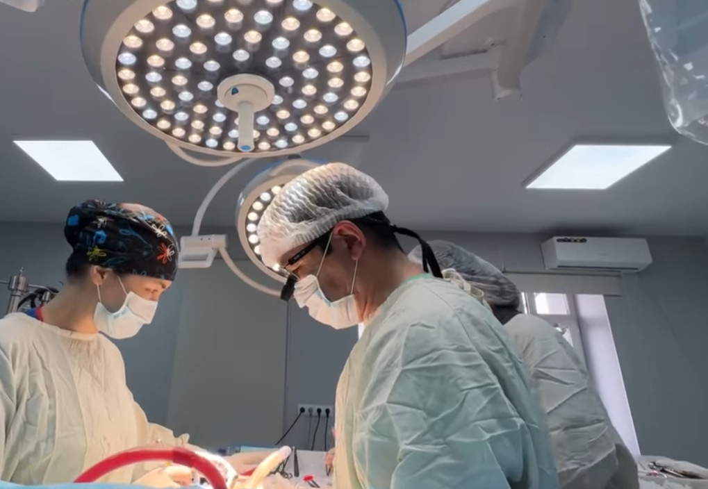 Талапка жооп бербеген 263 жеке клиниканын иши токтоду