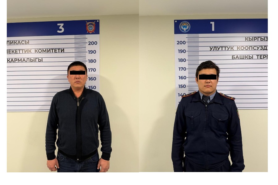 Үч баланын энесин өлтүрүү иши боюнча эки милиция кызматкери кармалды