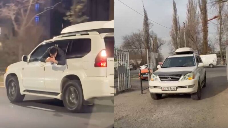 Автоээнбаштык жараткан айдоочу айыпка жыгылды