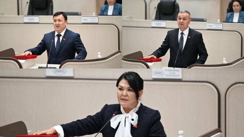 Жогорку Кеңеште тармактык комитеттердин төрагалары шайланды