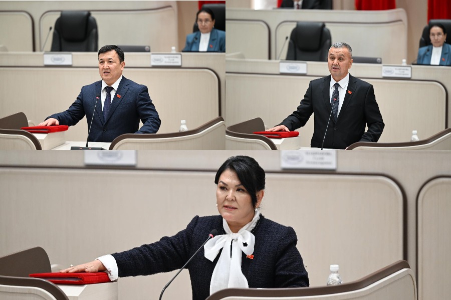 Жогорку Кеңеште тармактык комитеттердин төрагалары шайланды