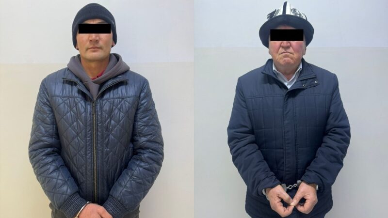 Талас облусундагы айыл аймагынын башчысы жана жер адиси кармалды