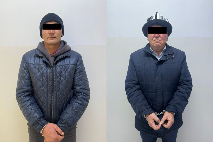 Талас облусундагы айыл аймагынын башчысы жана жер адиси кармалды