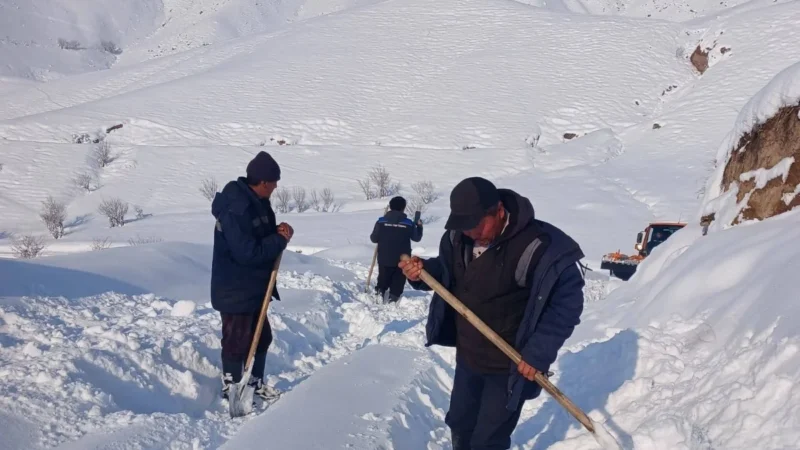 Токтогулда кыштоодо калган 10 жаран эвакуацияланды
