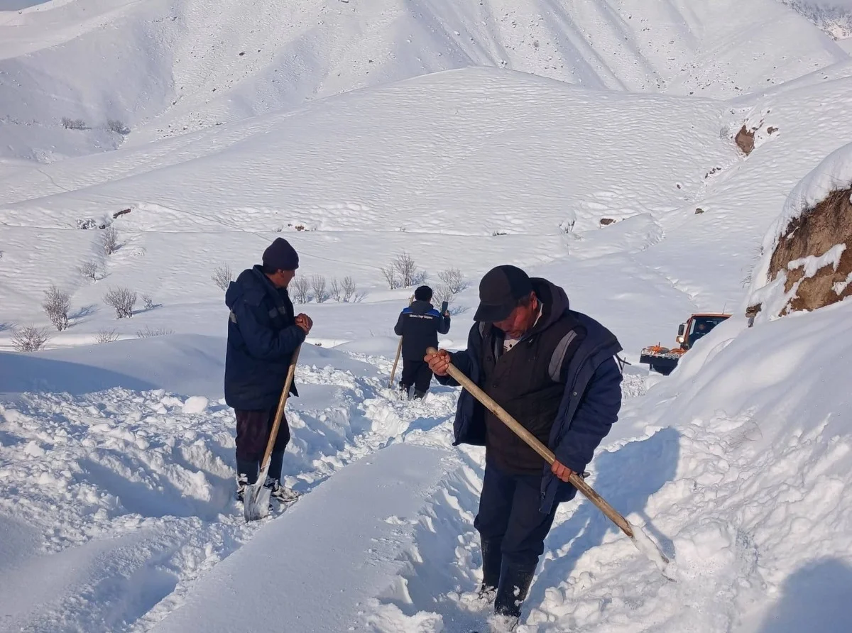 Токтогулда кыштоодо калган 10 жаран эвакуацияланды