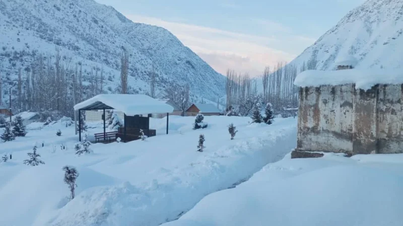 Токтогулда кыштоодо 26 малчы жана 7 миңден ашык мал тоютсуз калды