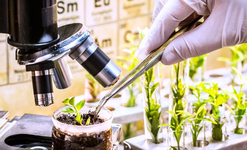 Балыкчыда өсүмдүктөрдүн карантини боюнча лаборатория курулууда