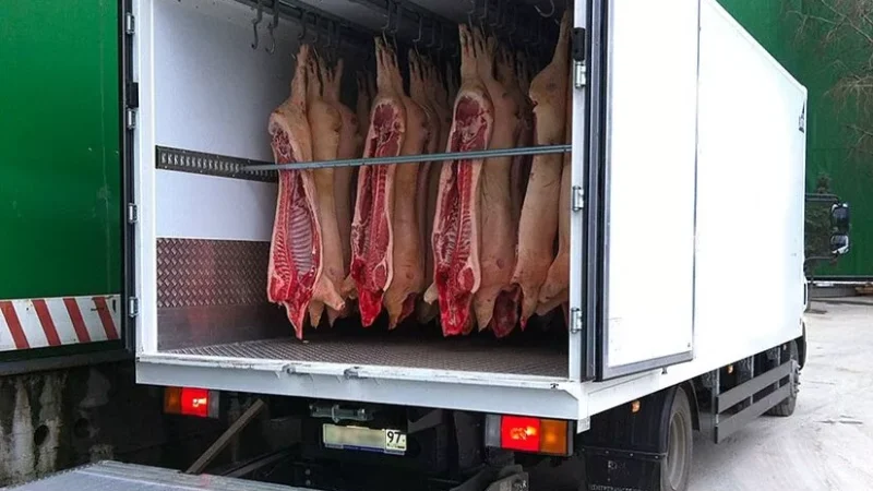 Пакистандан ташылып келген 22 тонна эт өлкөгө киргизилген жок