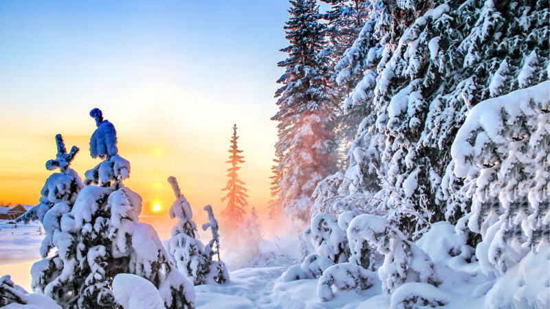 Жазгы жамгыр менен кышкы суукка ишенбеңиз. Жылуу кийинип, жумушка жөнөңүз!