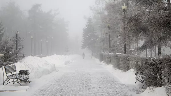 Күн ачык, бирок айрым жерлерде туман түшөт. 26-январга карата аба ырайы