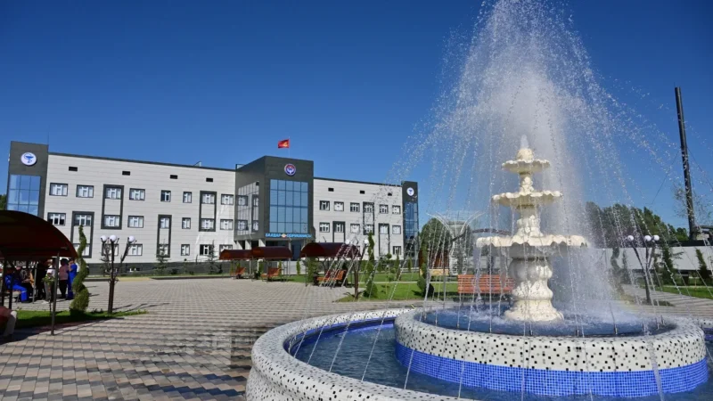 Манастагы Алийма Ташиева атындагы оорукананын статусу өзгөрөт