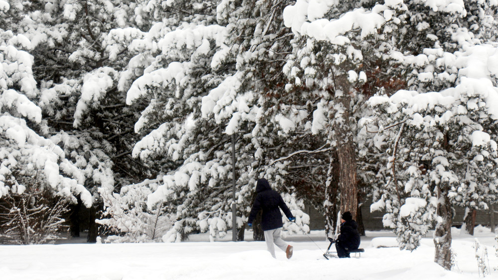 Ийгиликтүү адамдар жашоодо позитивдүү маанайда болушат. Кутман таң, жума күнүңүз маарек болсун замандашым!