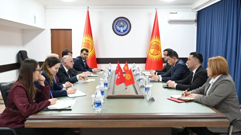Кыргызстан менен Түркия курулуш тармагындагы долбоорлорду бекемдейт