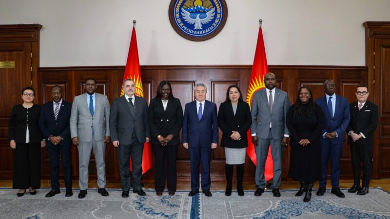 Жээнбек Кулубаев  БУУнун туруктуу  өкүлдөрү менен жолугушту