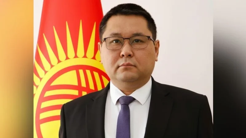Адылбек Тултемиров Кыргызстандын Африка бирлигиндеги туруктуу өкүлү болду