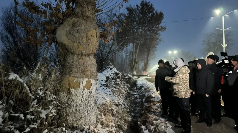 Ошто аэропортко барчу жолдо ирригация жакшыртылып, көчөттөр отургузулат