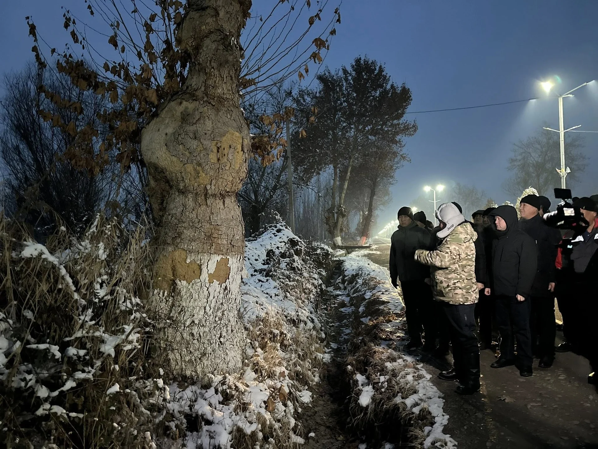 Ошто аэропортко барчу жолдо ирригация жакшыртылып, көчөттөр отургузулат