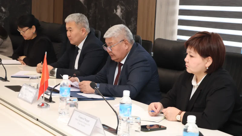 Немец компаниялары Кыргызстанда 3 жылуулук электр станциясын курууга кызыкдар