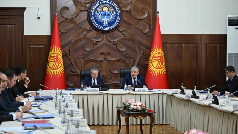 Африкадагы биринчи элчилик жана 185 өлкө менен байланыш: ТИМдин жыйыны өттү