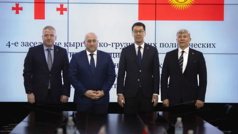 Бишкекте кыргыз-грузин саясий консультациялары өттү