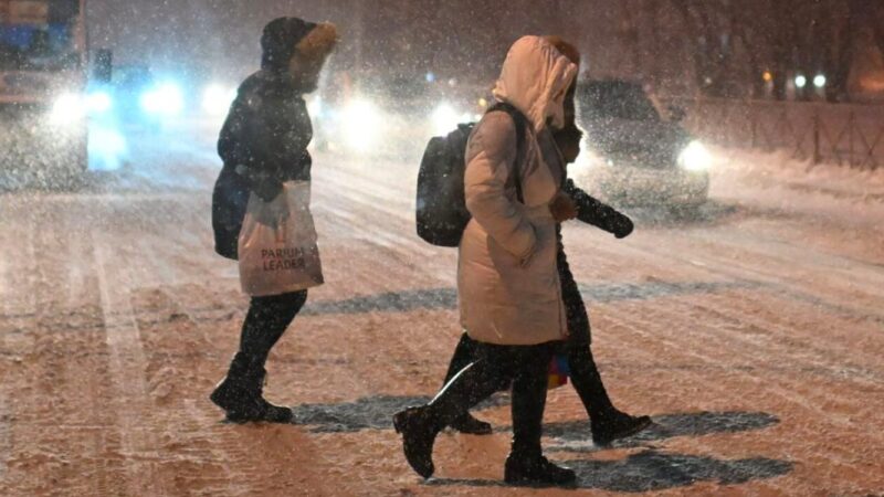 Жолду кесип өткөн жарандар айыпка жыгылат