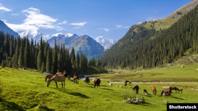 The New York Times Кыргызстанды саякаттоо үчүн эң кооз жерлердин тизмесине кошту