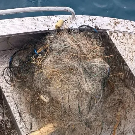 Ысык-Көлдөгү рейд: 300 метр синтетикалык тор алынды