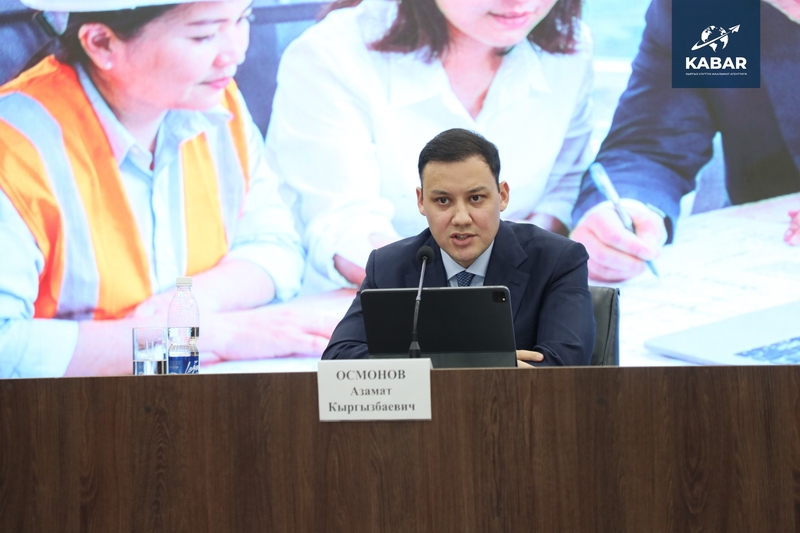 Чүйдө айыл чарба багытындагы жерлердин саны азайып жатат