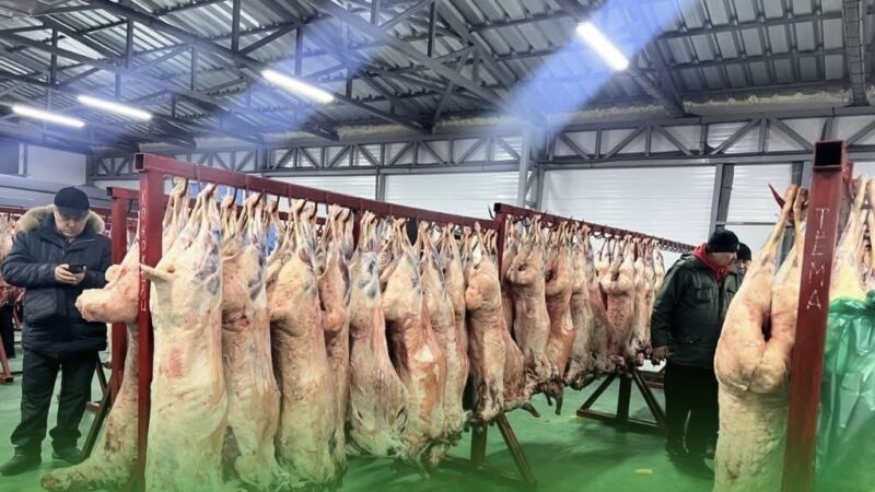 Ош базарындагы этти дүң сатуучу жай Маевкадагы жаңы базарга көчүрүлдү