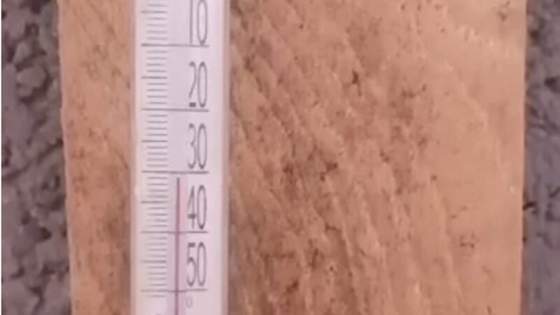 -35 градус суук. Ак-Талаанын окуучулары онлайн окууга өттү