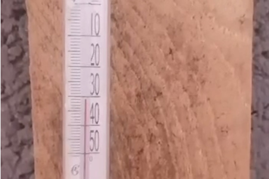 -35 градус суук. Ак-Талаанын окуучулары онлайн окууга өттү