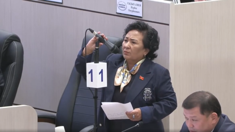 «Шерменде болобуз».  Камила Талиева наамдар боюнча мыйзам долбооруна каршы чыкты