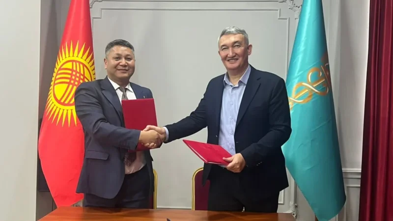 Кыргызстандык органикалык өндүрүүчүлөрү Кытайдын эң ири соода тармагы менен кызматташат