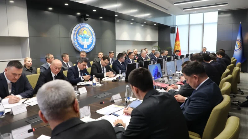 Камчыбек Ташиев: Беш жылда казынага 352 млрд сом кайтарылды