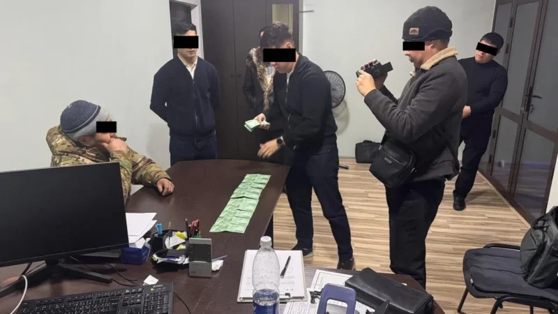 Таласта 10 гектардан ашык жерди мыйзамсыз берген шектүү кармалды