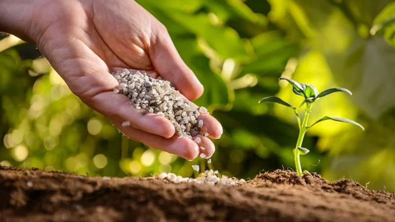 Кыргызстанга 21,5 миң тонна жер семирткич алып келинди