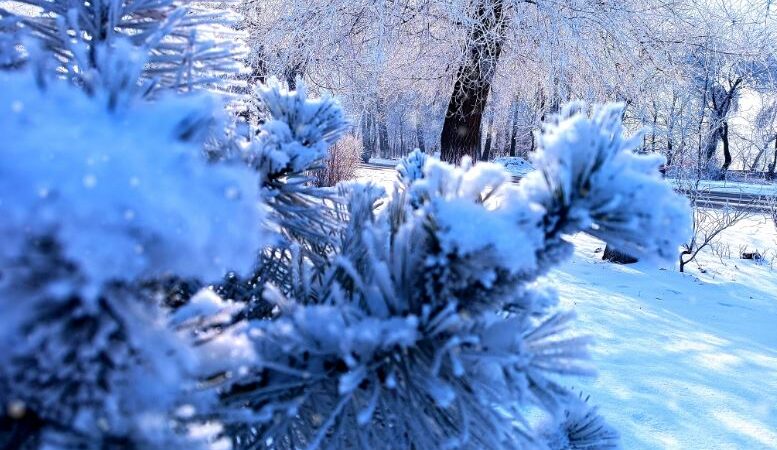 Кутман таң, окурманым. Бүгүнкү күн — ийгиликке жасалган дагы бир кадам!