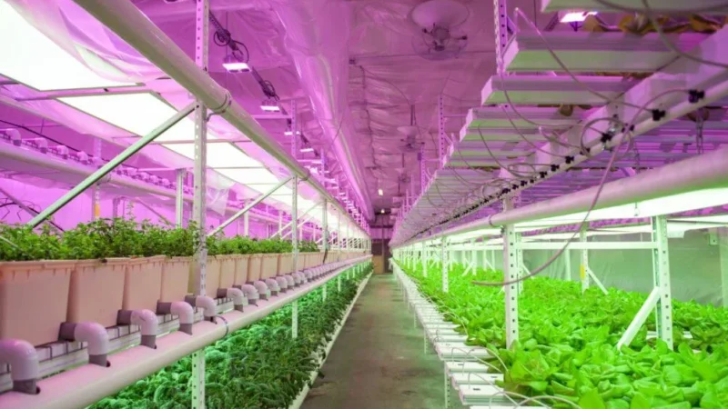 Кыргызстанда кытай технологиясы менен «акылдуу» күнөсканалар курулат