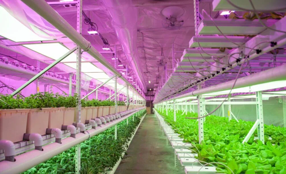 Кыргызстанда кытай технологиясы менен «акылдуу» күнөсканалар курулат