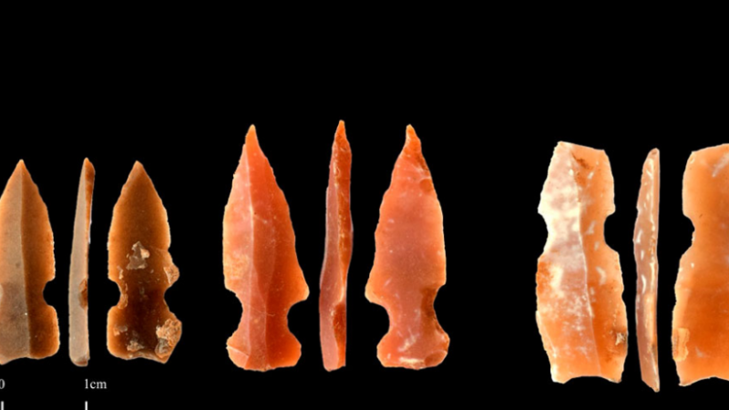 Тарыхты калыптандырган ачылыштар жылы: Түркиянын археологиялык жетишкендиктери