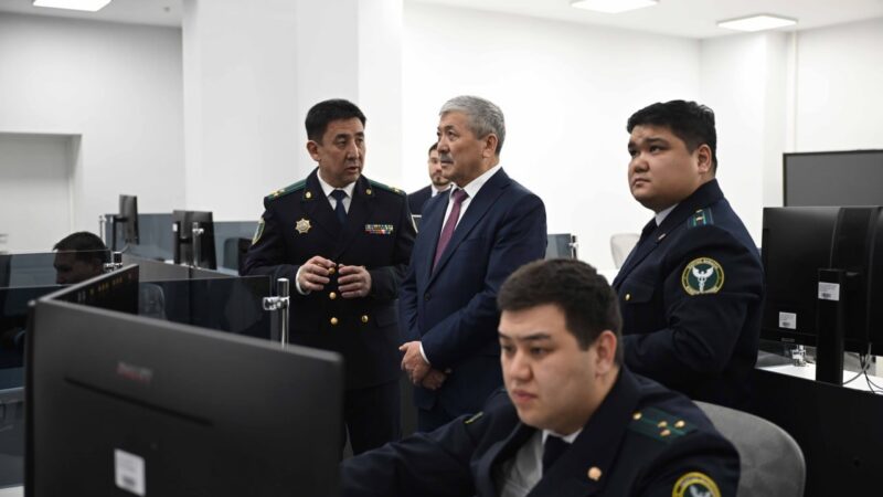 Бажы кирешелери беш жылда 6 эсе өстү