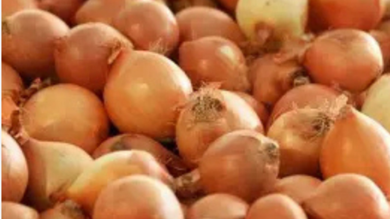 Өзбекстандан келген дээрлик 27 тонна пияз Кыргызстанга киргизилген жок