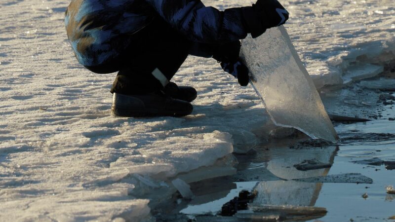 Сокулукта 4 жаштагы үч бала көлмөгө чөгүп кетти