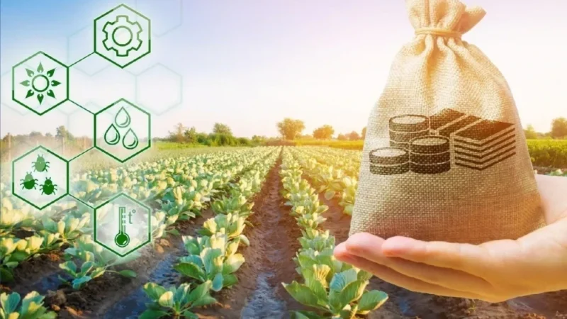 Агроөнөр жай тармагына жеңилдетилген насыя берилет